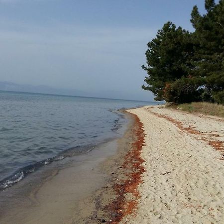 Vlachogiannis El Estate Apartment Skala Rachoni  Luaran gambar