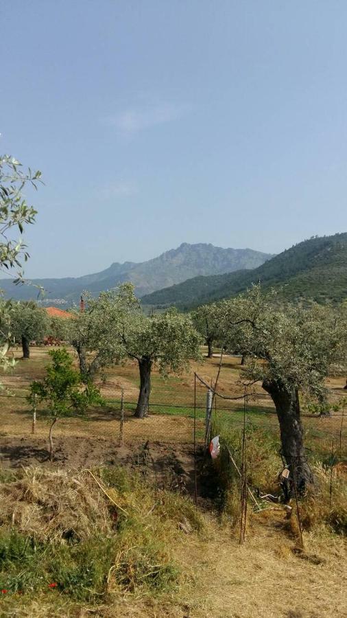 Vlachogiannis El Estate Apartment Skala Rachoni  Luaran gambar