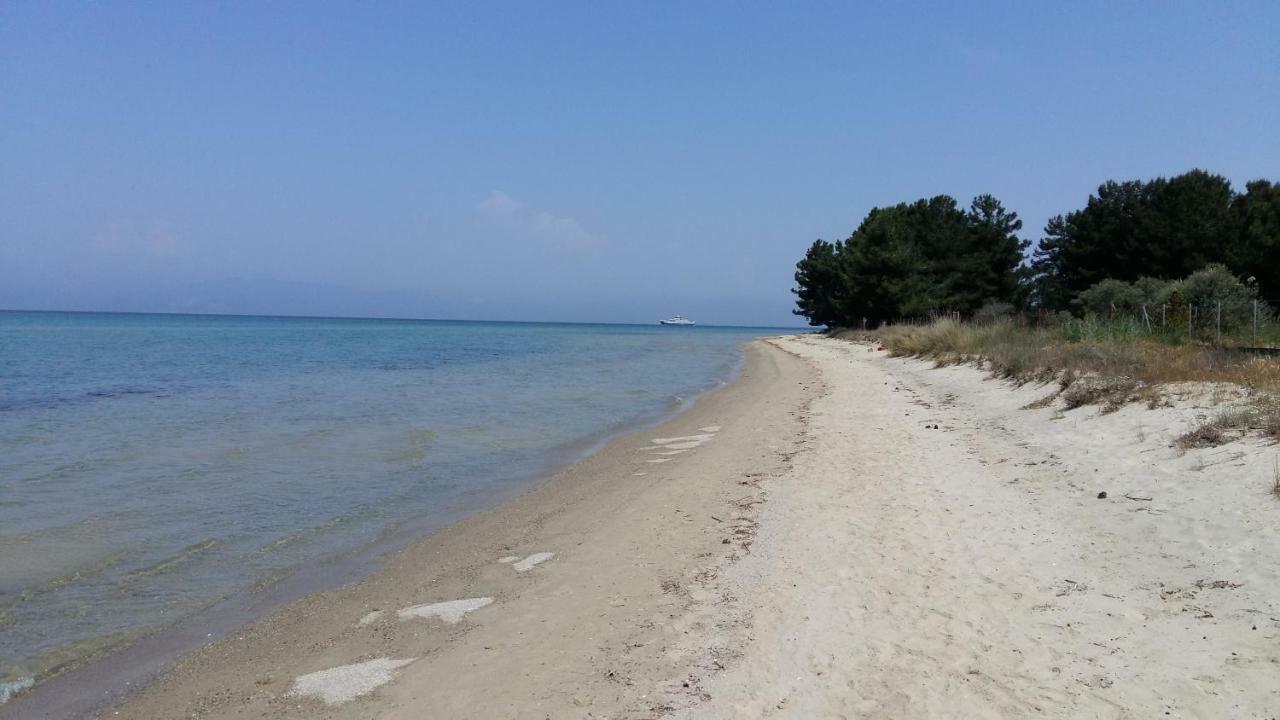 Vlachogiannis El Estate Apartment Skala Rachoni  Luaran gambar