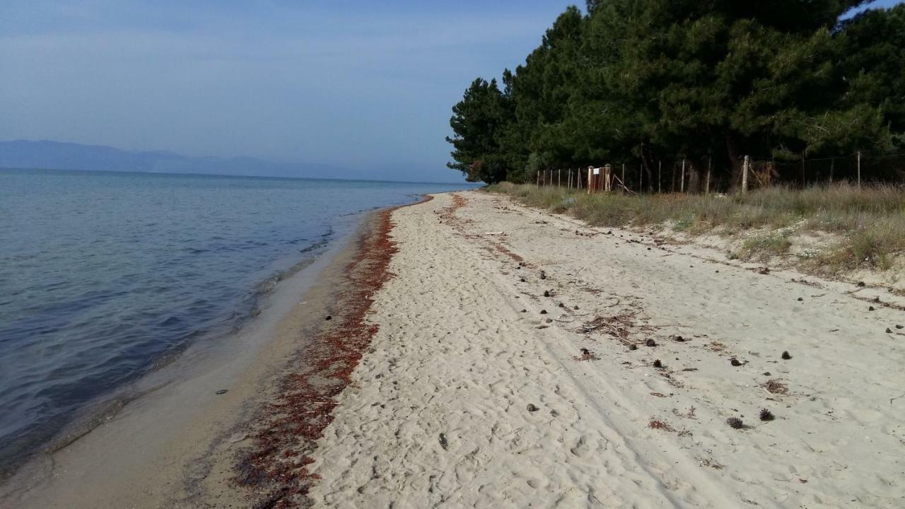 Vlachogiannis El Estate Apartment Skala Rachoni  Luaran gambar